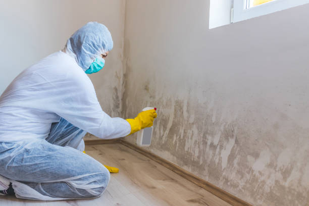 Hvac And Air Duct Mold Remediation inspection of HVAC system in Fort Washington
